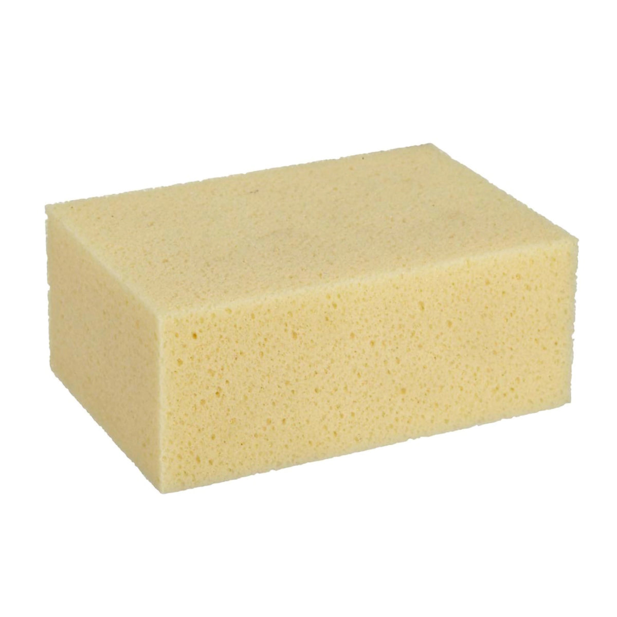 Rectangular natural sponge