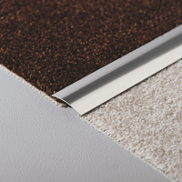 Lifestyle image transition profile aluminium between two carpets